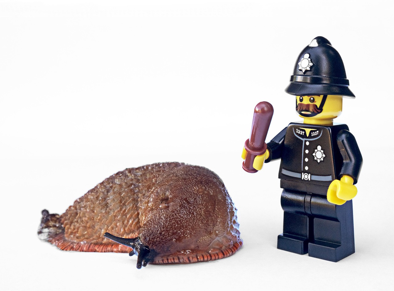Rodent Control Surrey: Effective Strategies for Pest-Free Homes